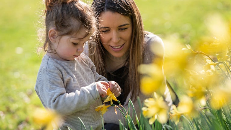 A family enjoying the daffodils